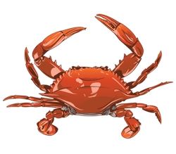 Crab Color