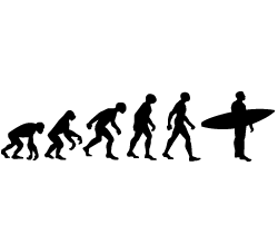 Evolution Surfer Sticker