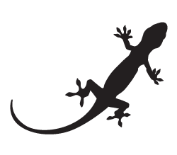 Gecko Skinny Sticker