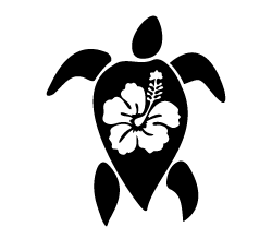 Turtle with Hibiscus