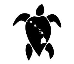 Turtle with Island Chain